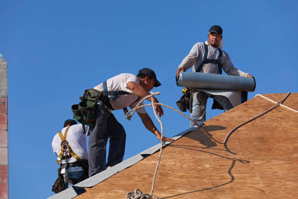 Best Storm Damage Roof Repair  in Streator, IL