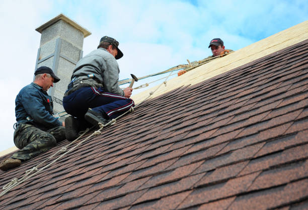 Best Storm Damage Roof Repair  in Streator, IL